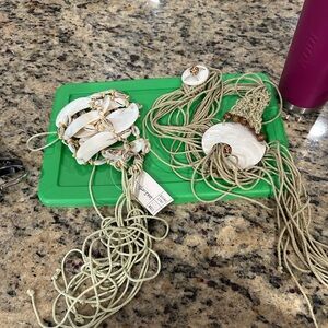 2 Shell and Bead Belts